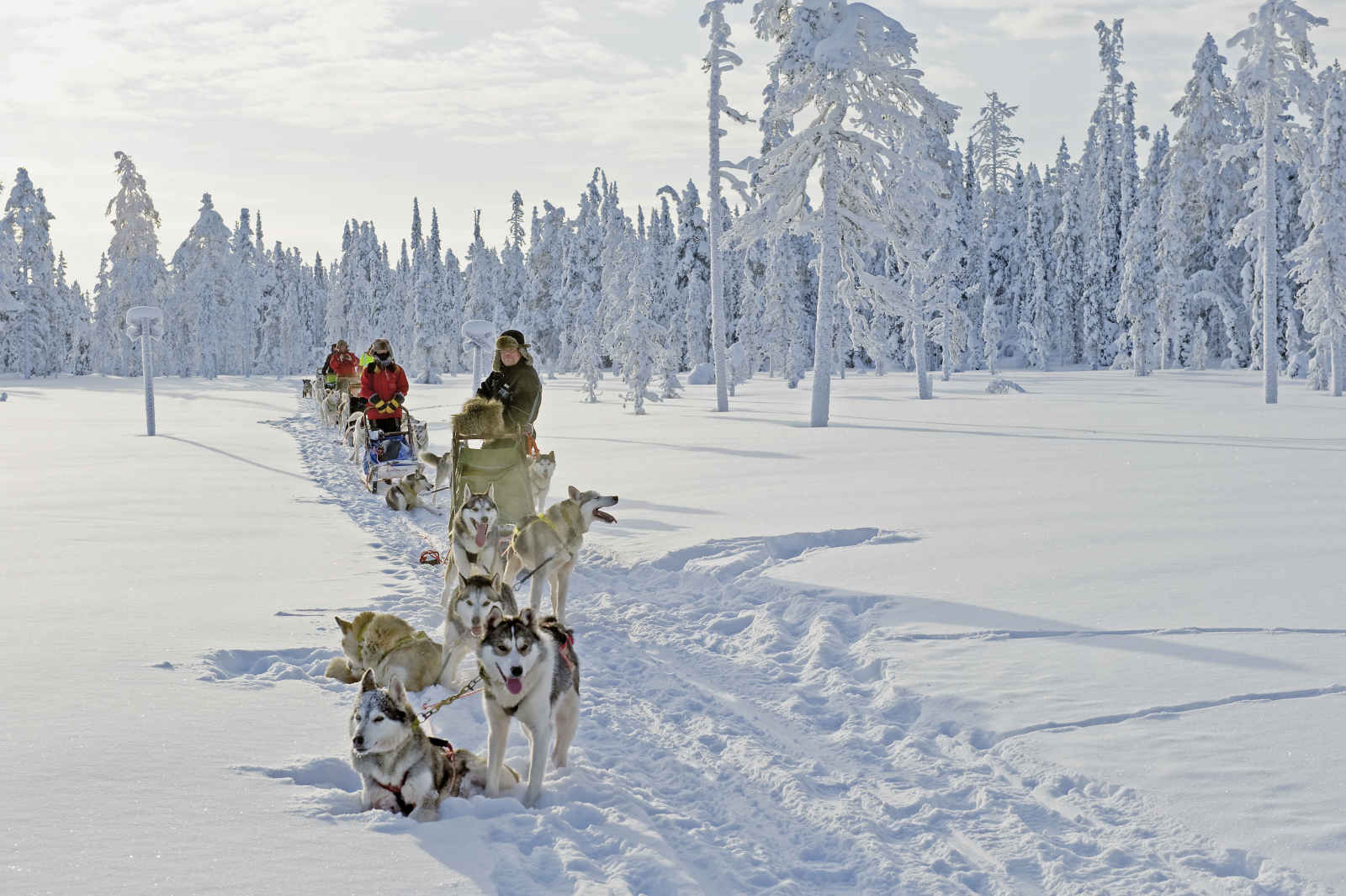 Séjour Laponie - Combiné Tradition en Laponie